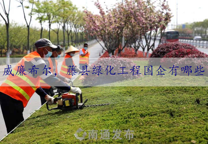 藤县绿化工程国企有哪些
