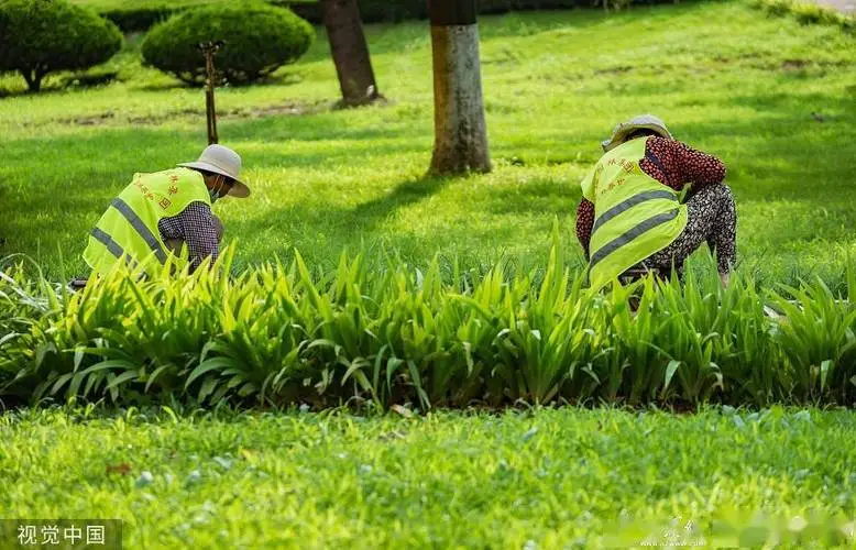 15万元园林景观设计师