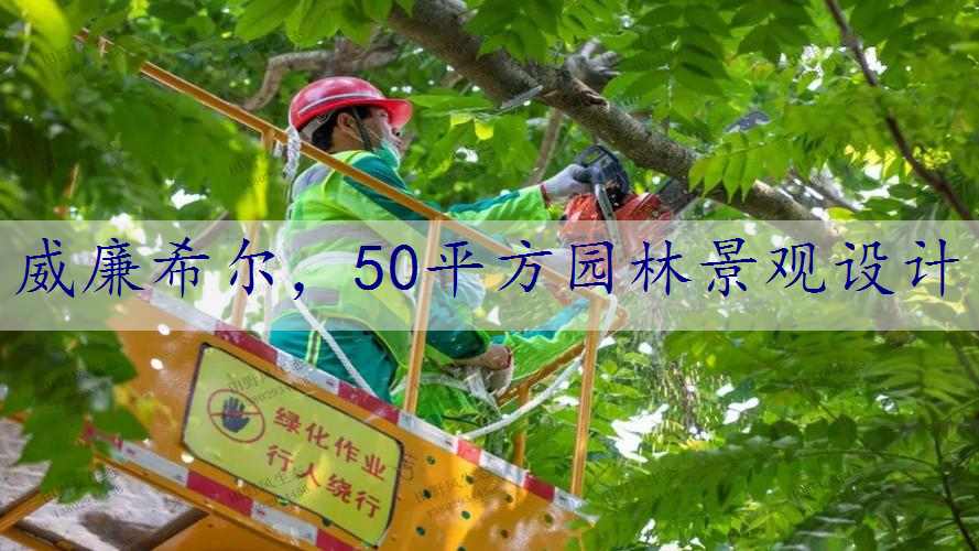 50平方园林景观设计